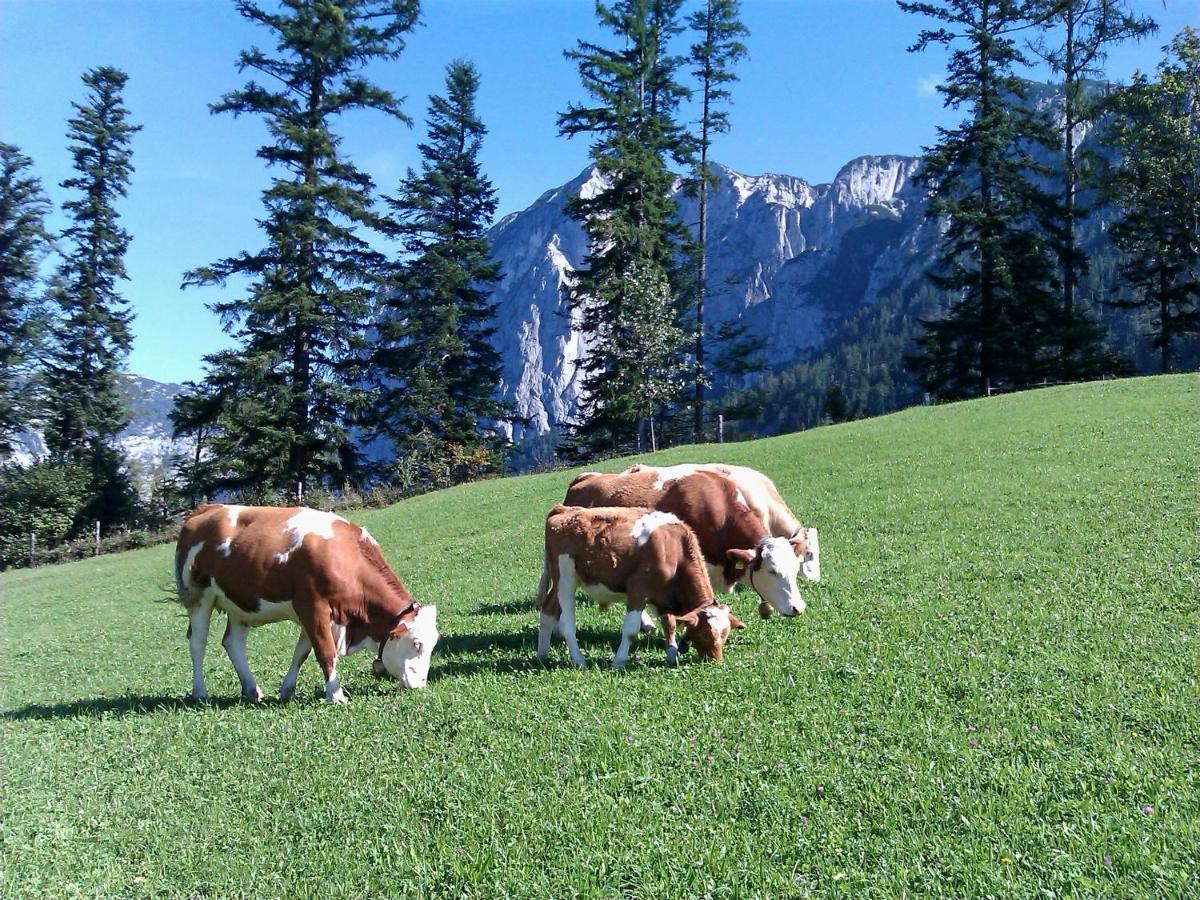 Ferienwohnungen Seraphine Und Theresia Grundlsee Εξωτερικό φωτογραφία